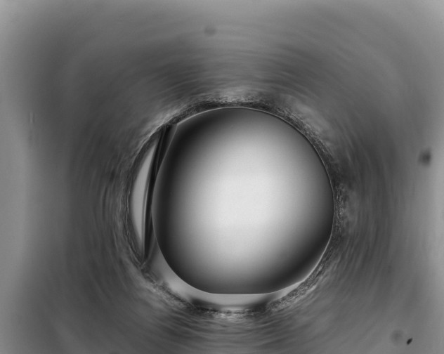 X0000099310164200805091026