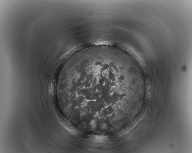 X0000099310165200805091026