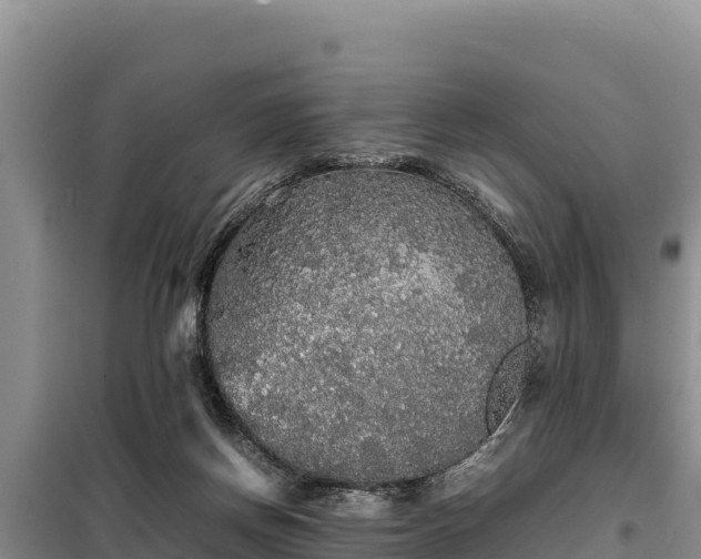 X0000099310166200805091026