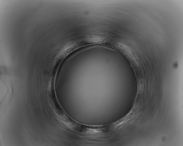 X0000099310167200805091026