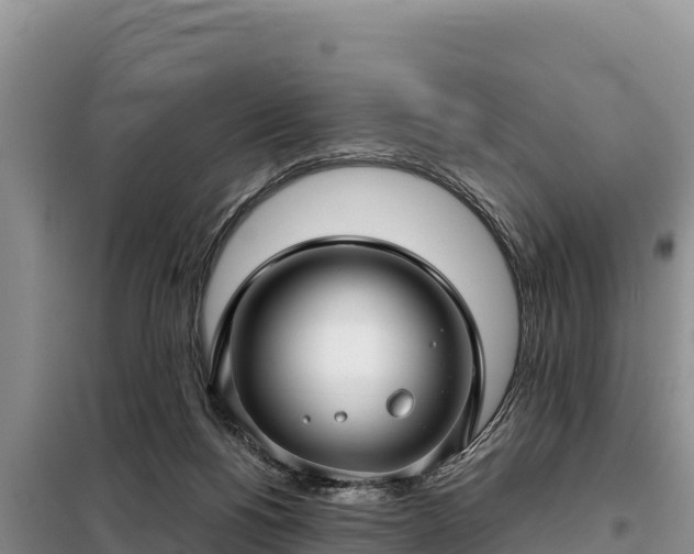 X0000099310168200805091026