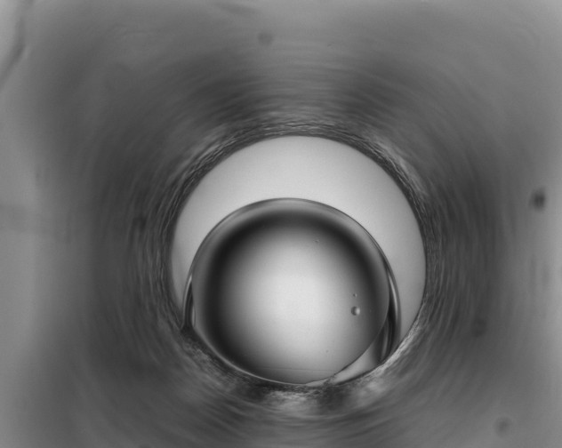 X0000099310170200805091026