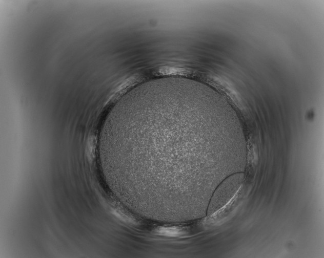 X0000099310171200805091026