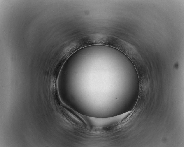 X0000099310172200805091026