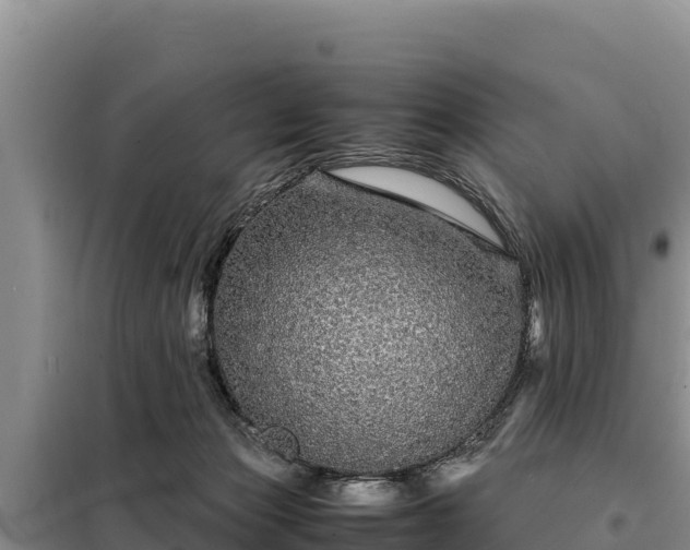 X0000099310173200805091026