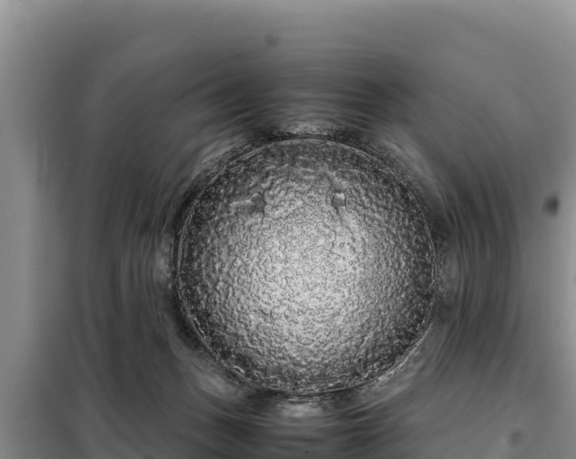 X0000099310175200805091026