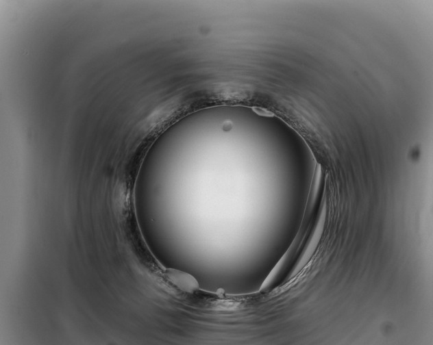 X0000099310176200805091026