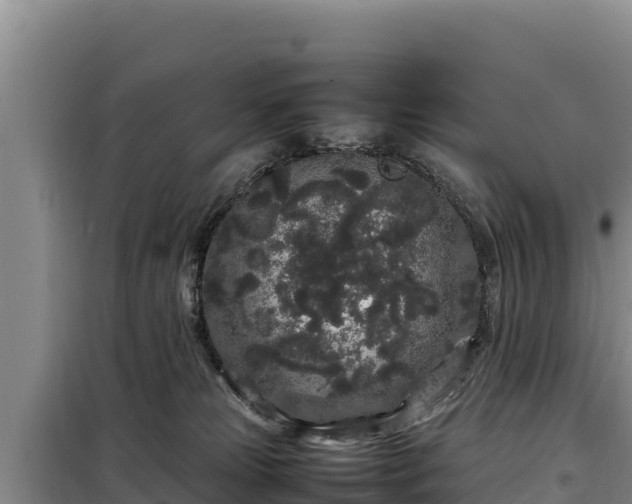 X0000099310181200805091026