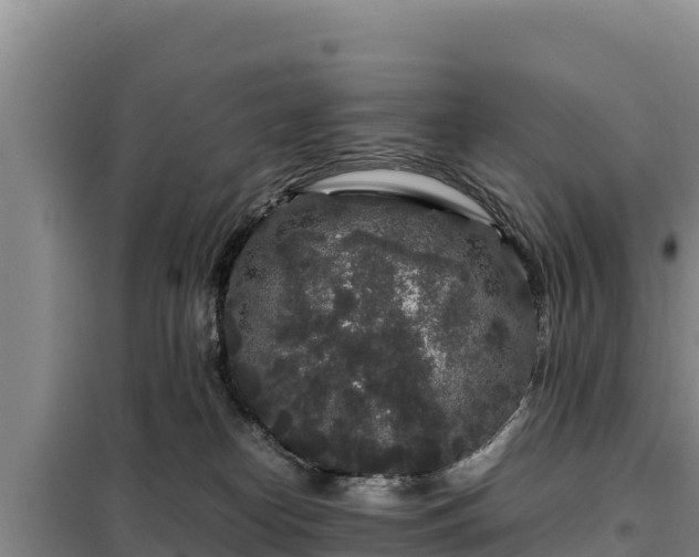 X0000099310182200805091026