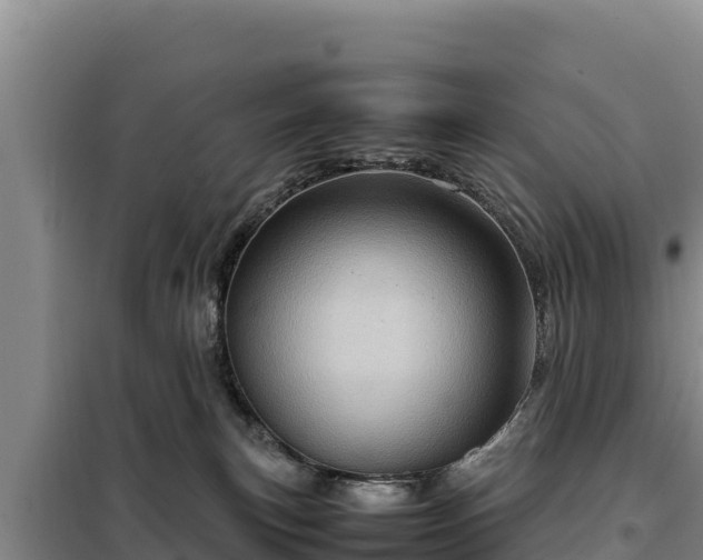 X0000099310183200805091026