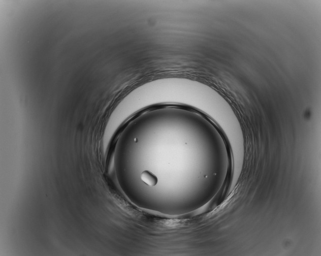 X0000099310184200805091026