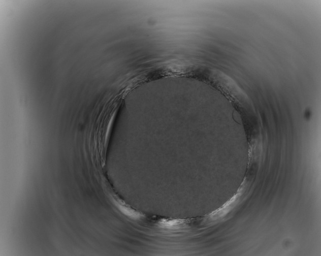 X0000099310186200805091026