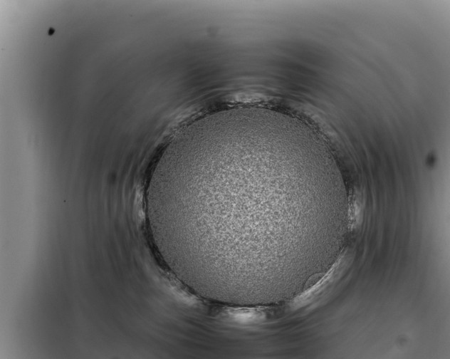 X0000099310187200805091026