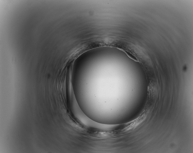 X0000099310188200805091026