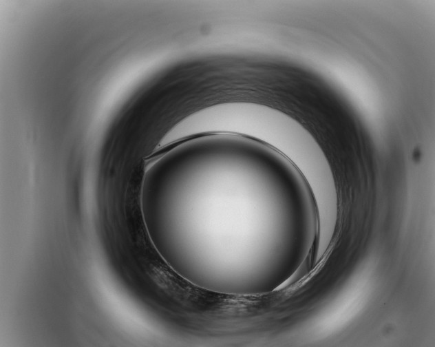 X0000099310190200805091027