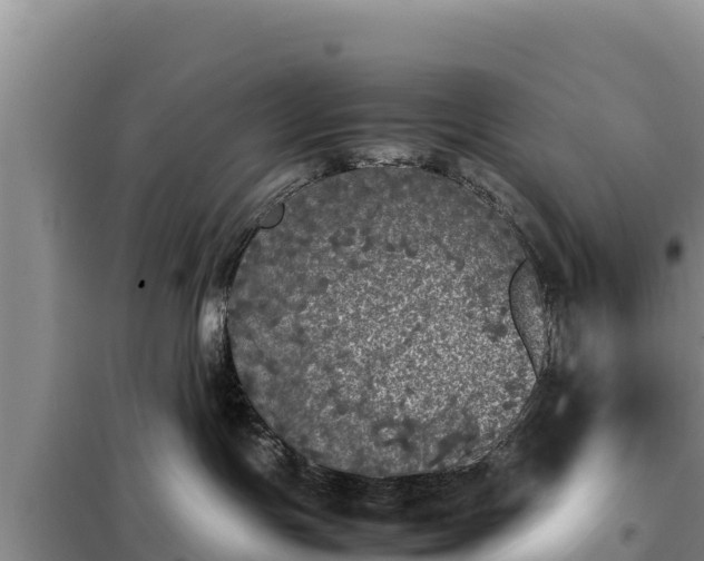 X0000099310191200805091027