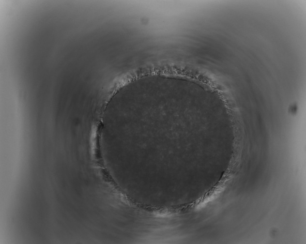 X0000099310192200805091027