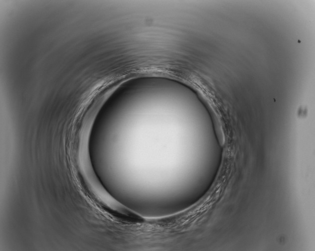 X0000099310193200805091026