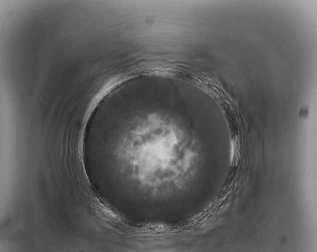 X0000099310195200805091026