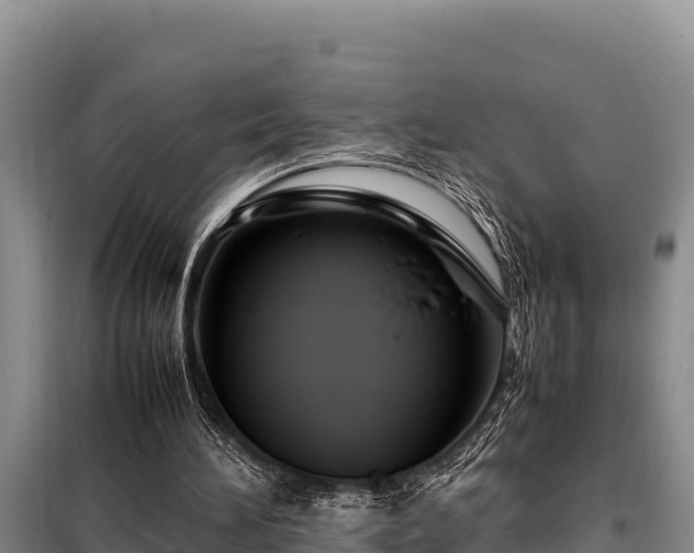 X0000099310196200805091026