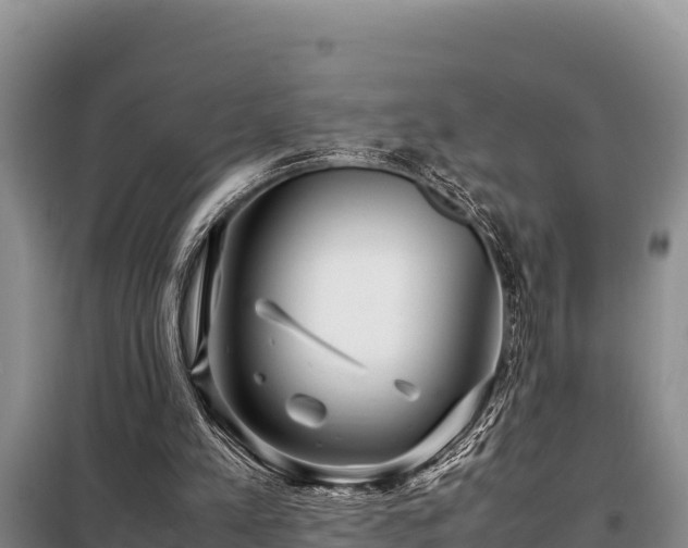 X0000099310197200805091026