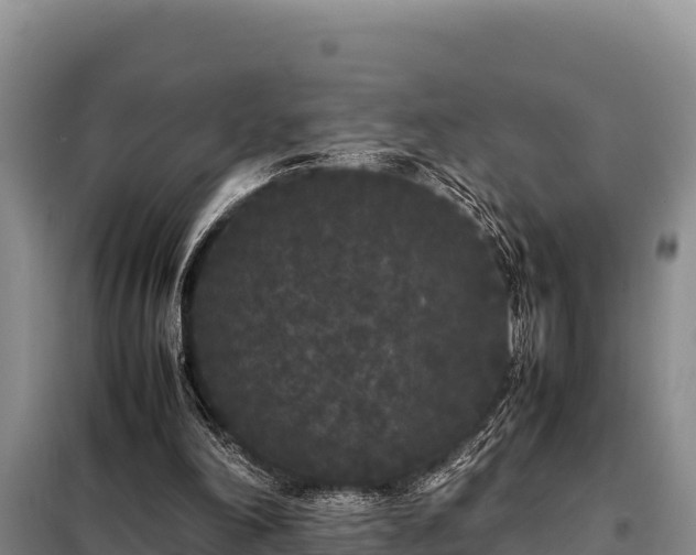 X0000099310198200805091026