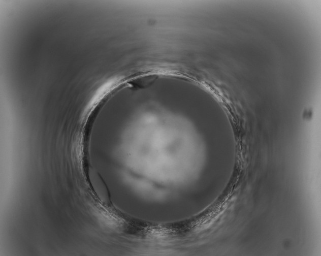 X0000099310199200805091026