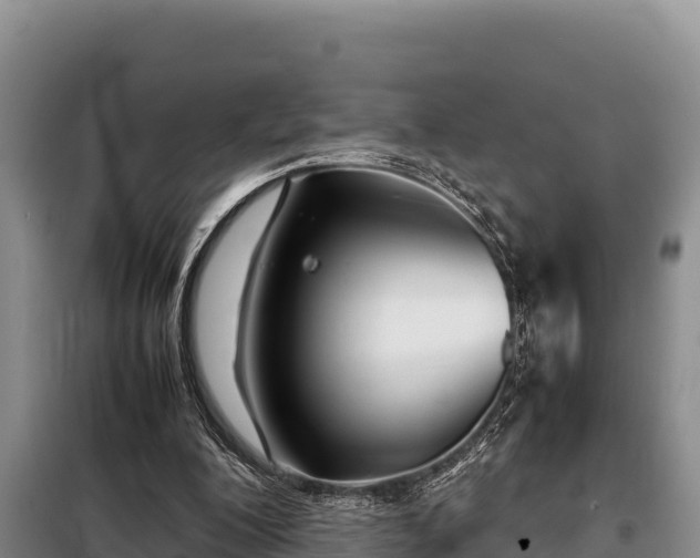 X0000099310200200805091026