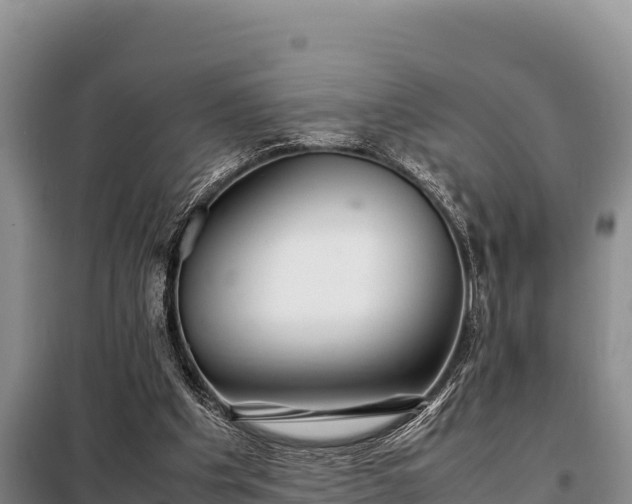 X0000099310201200805091026