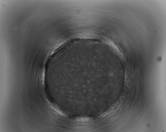 X0000099310202200805091026