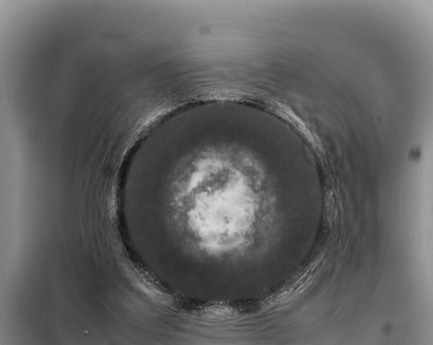 X0000099310203200805091026