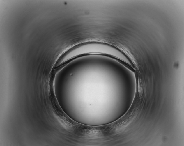 X0000099310204200805091026