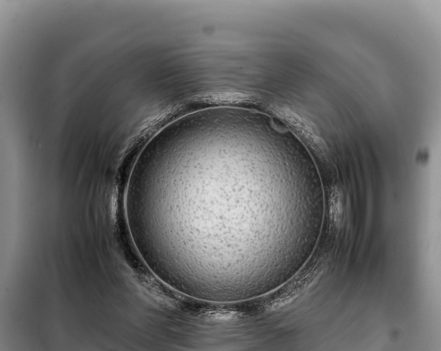 X0000099310206200805091026