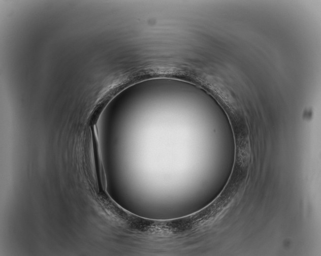 X0000099310207200805091026