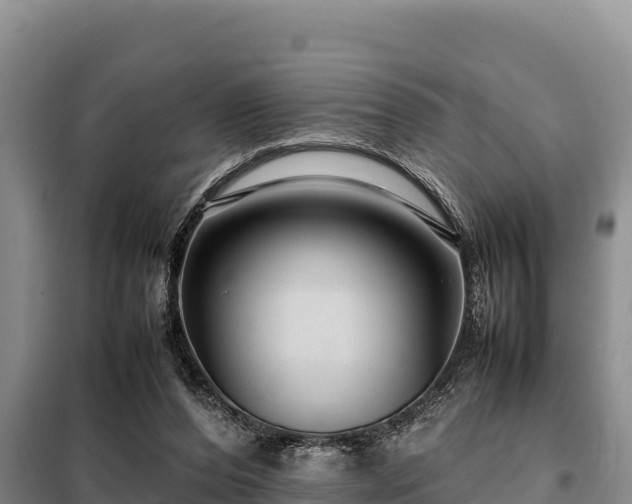 X0000099310208200805091026