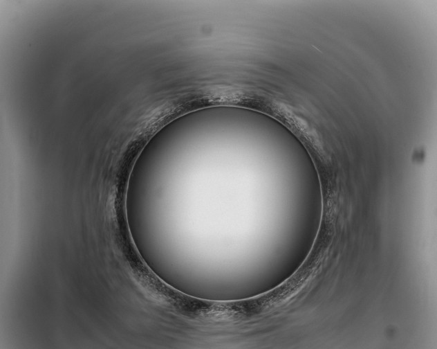 X0000099310209200805091026