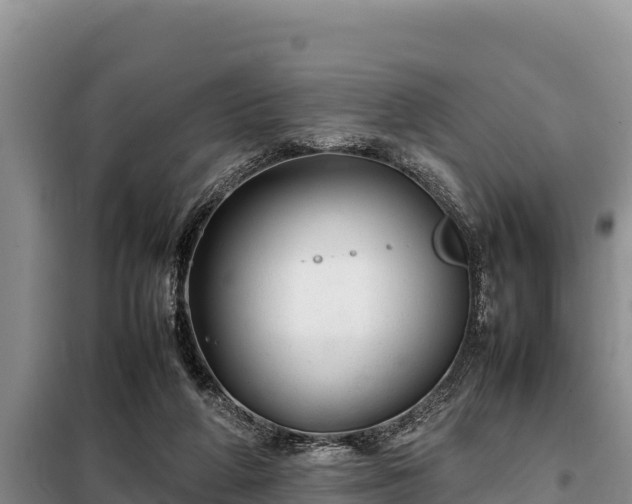 X0000099310210200805091026