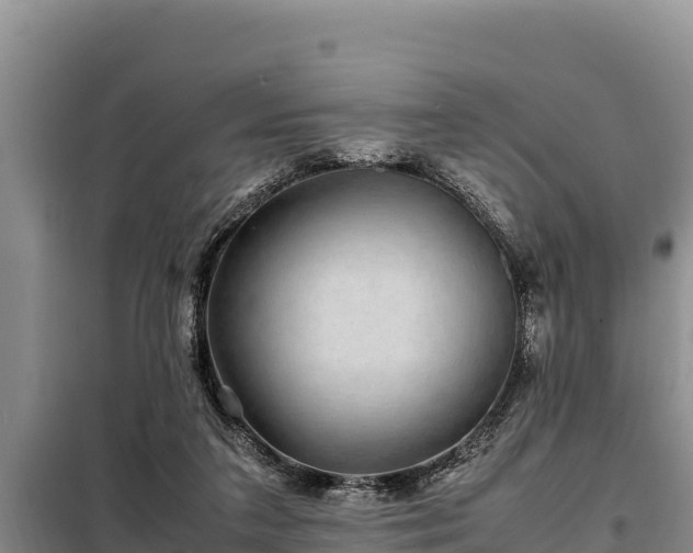 X0000099310211200805091026