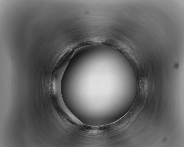 X0000099310212200805091026