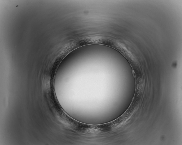 X0000099310213200805091026