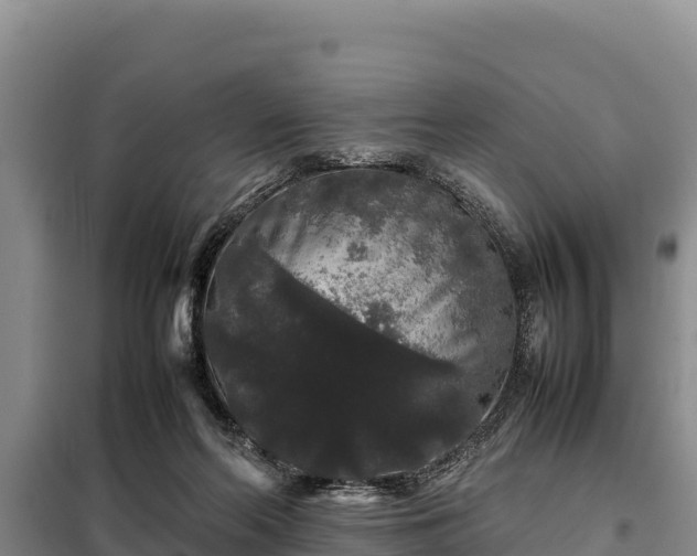 X0000099310214200805091026