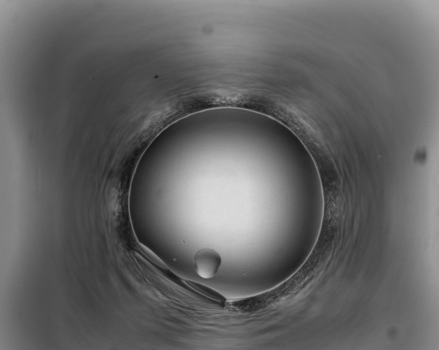 X0000099310215200805091026