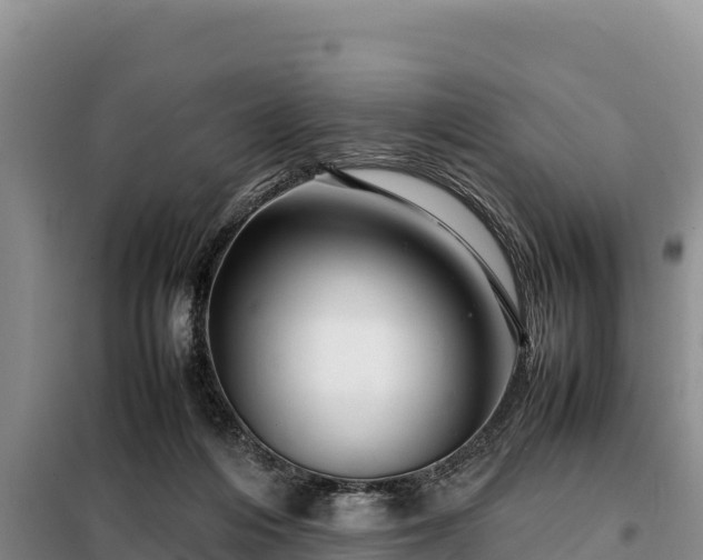 X0000099310216200805091026