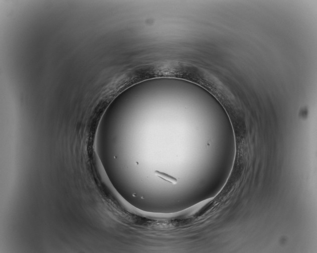 X0000099310217200805091026