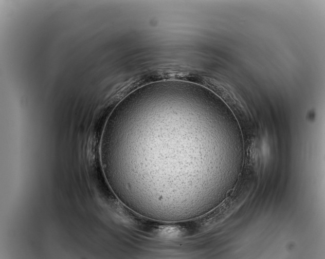 X0000099310218200805091026