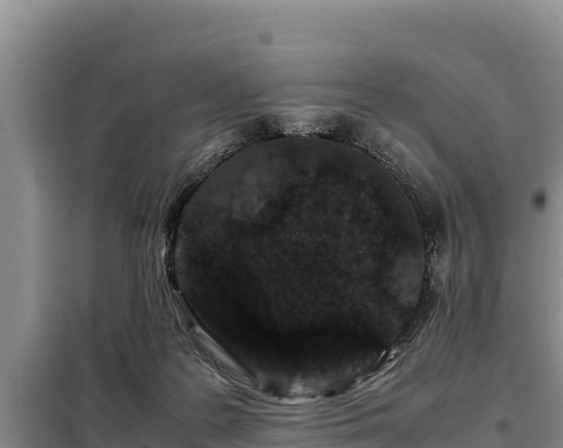 X0000099310219200805091026