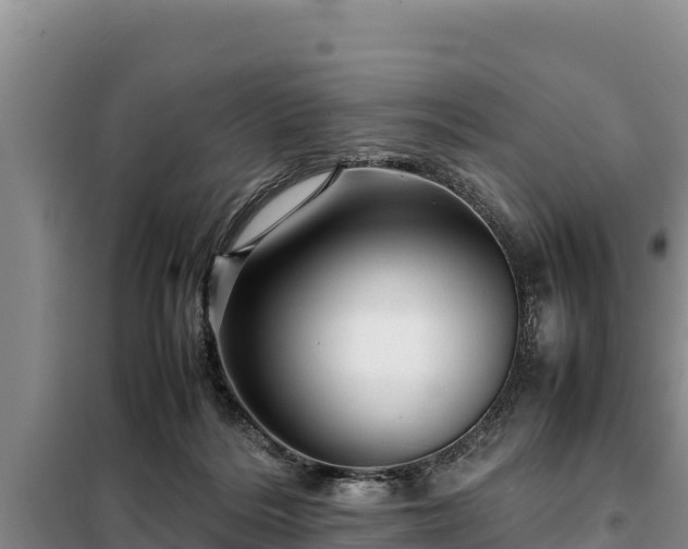 X0000099310220200805091026