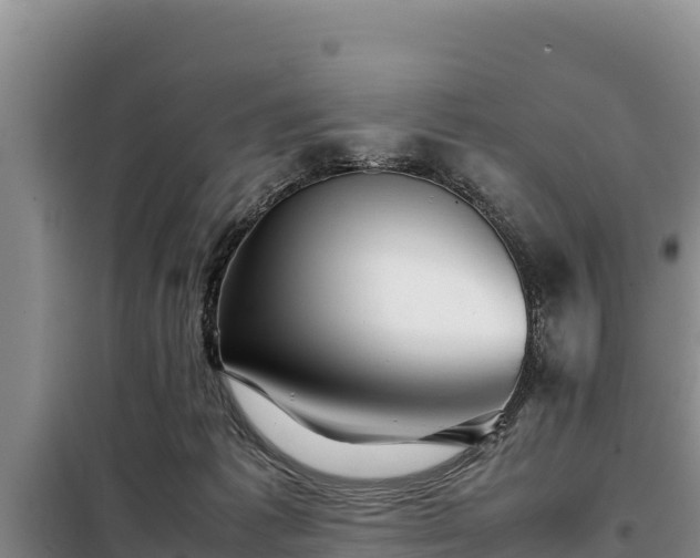 X0000099310221200805091025