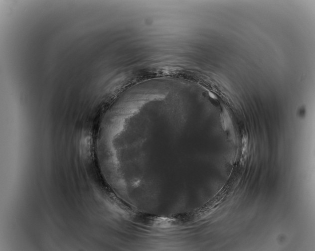 X0000099310222200805091025