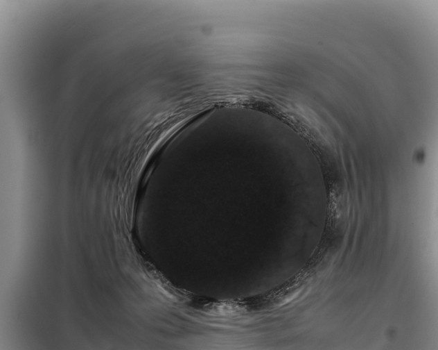 X0000099310223200805091025